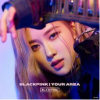Blackpink In Your Area