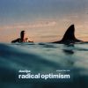 Radical Optimism