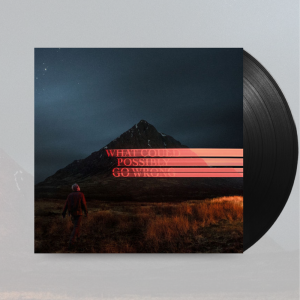 What Could Possibly Go Wrong