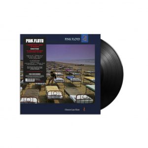 A Momentary Lapse Of Reason